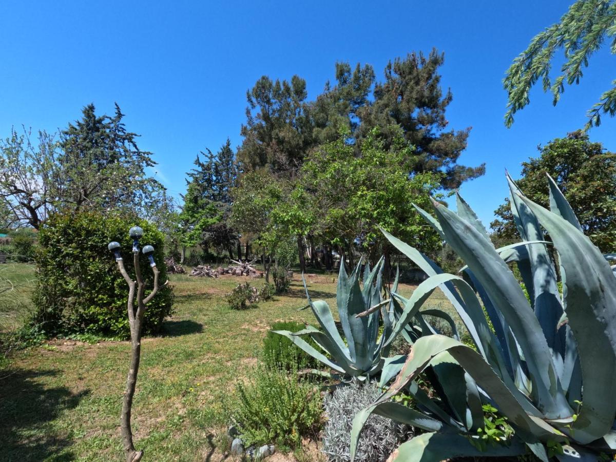 Pond And Pines, By Nice House By The Sea! Epanomi Dış mekan fotoğraf