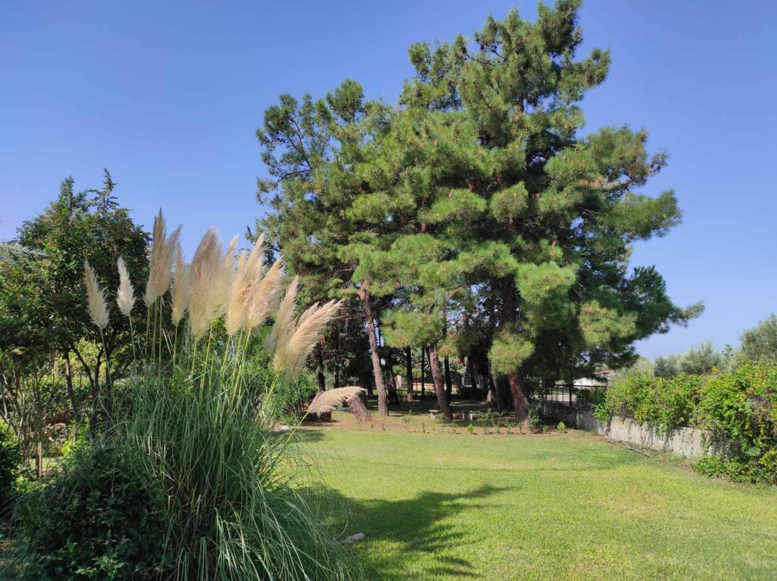 Pond And Pines, By Nice House By The Sea! Epanomi Dış mekan fotoğraf