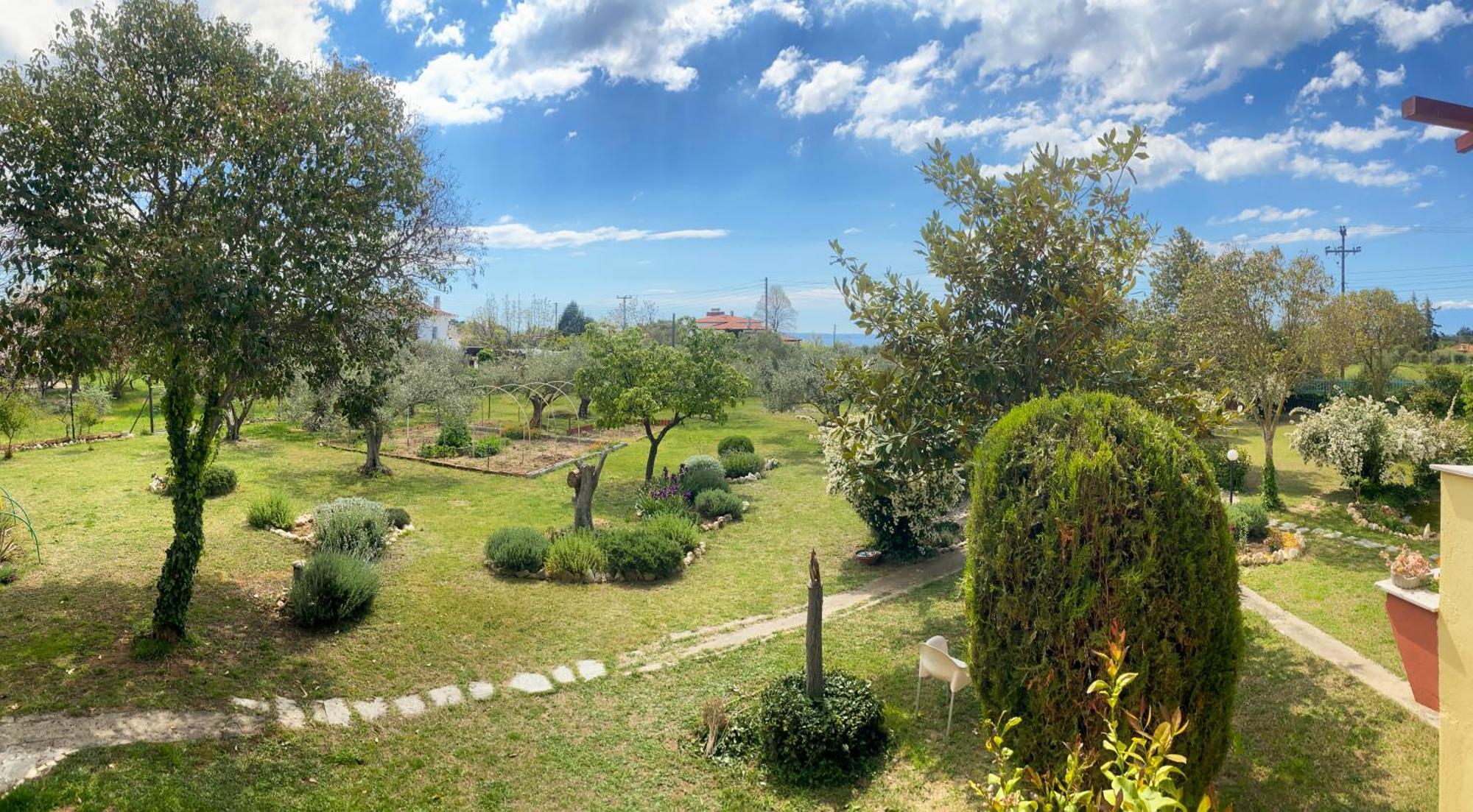 Pond And Pines, By Nice House By The Sea! Epanomi Dış mekan fotoğraf